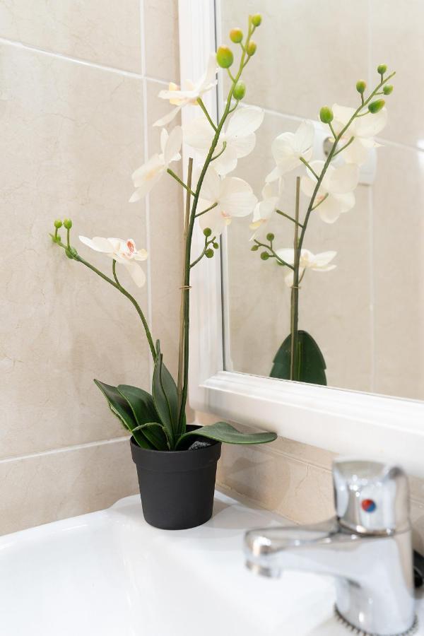 Blonzu Safari Appartement *